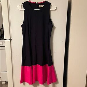 Eliza J Size 6‎ Navy and Pink Block Dress